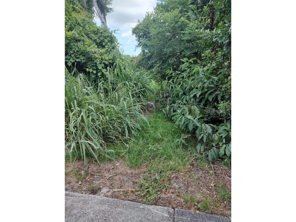 3629 Lake Buynak Road Windermere FL 34786 - LAKE BUYNAK G5099846 image39