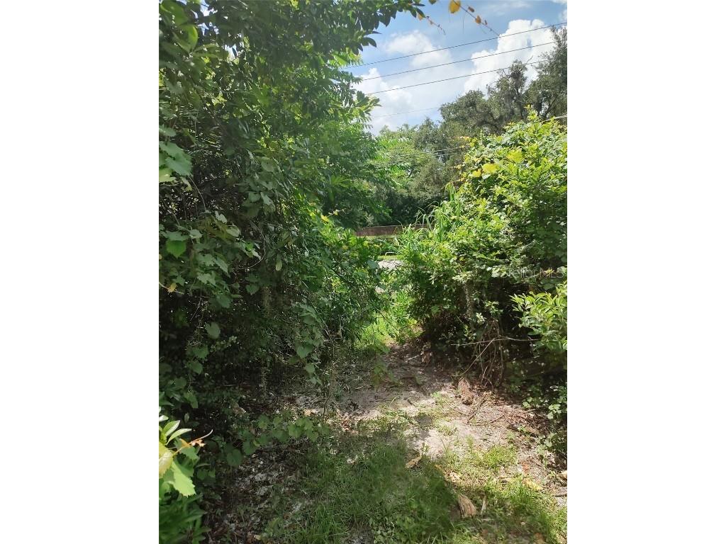 3629 Lake Buynak Road Windermere FL 34786 - LAKE BUYNAK G5099846 image40