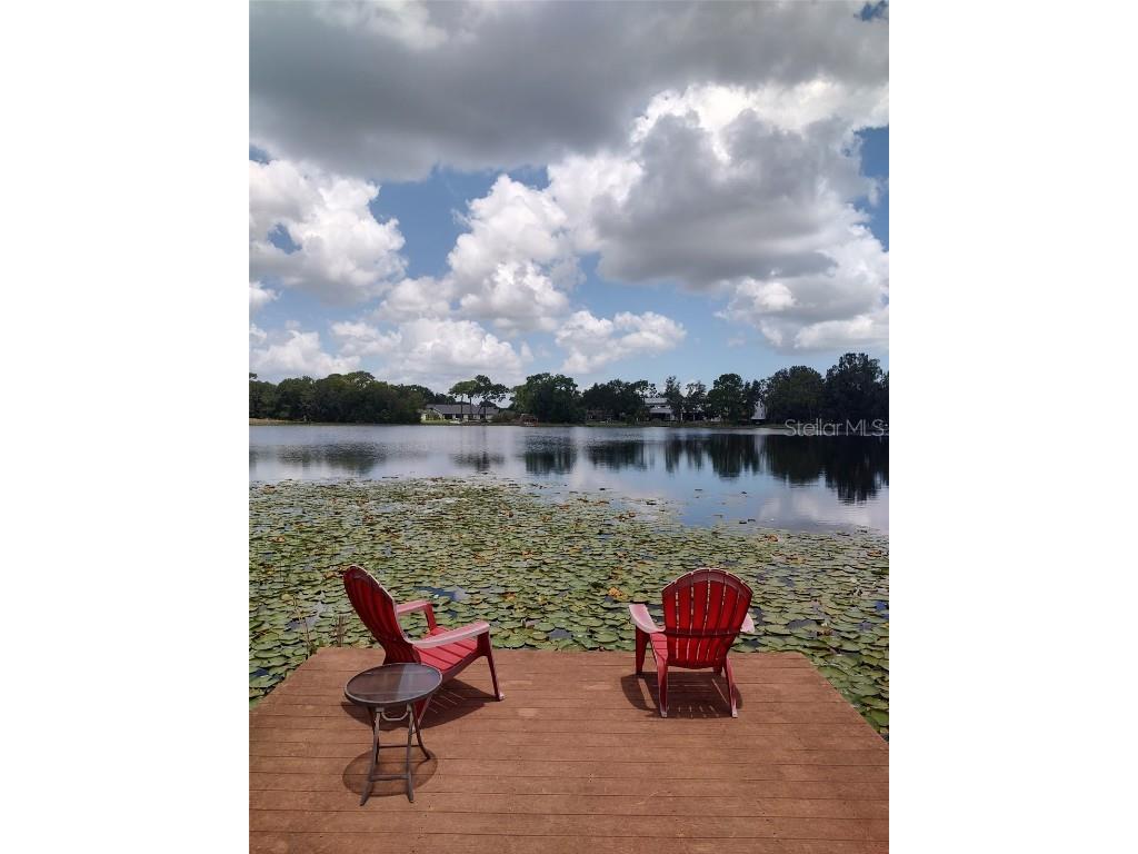 3629 Lake Buynak Road Windermere FL 34786 - LAKE BUYNAK G5099846 image44
