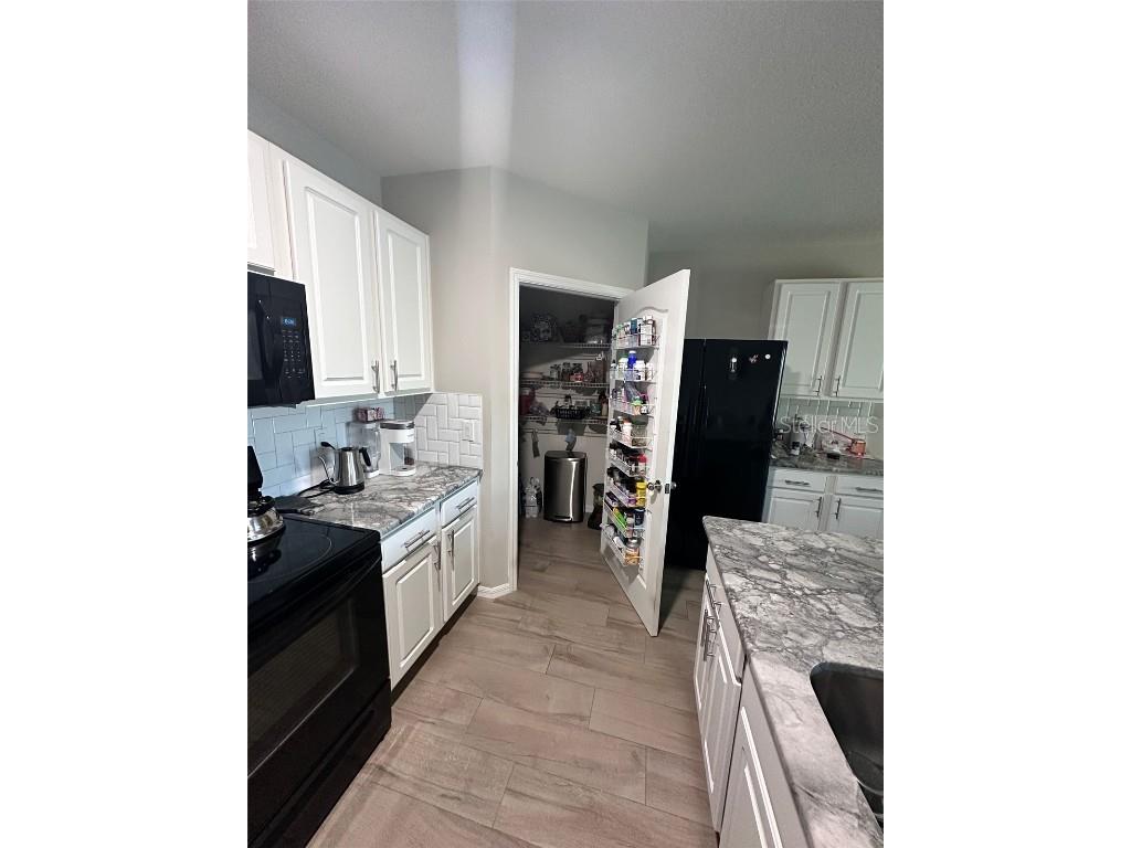 3629 Maidencain St Clermont FL 34714 G5093286 image7