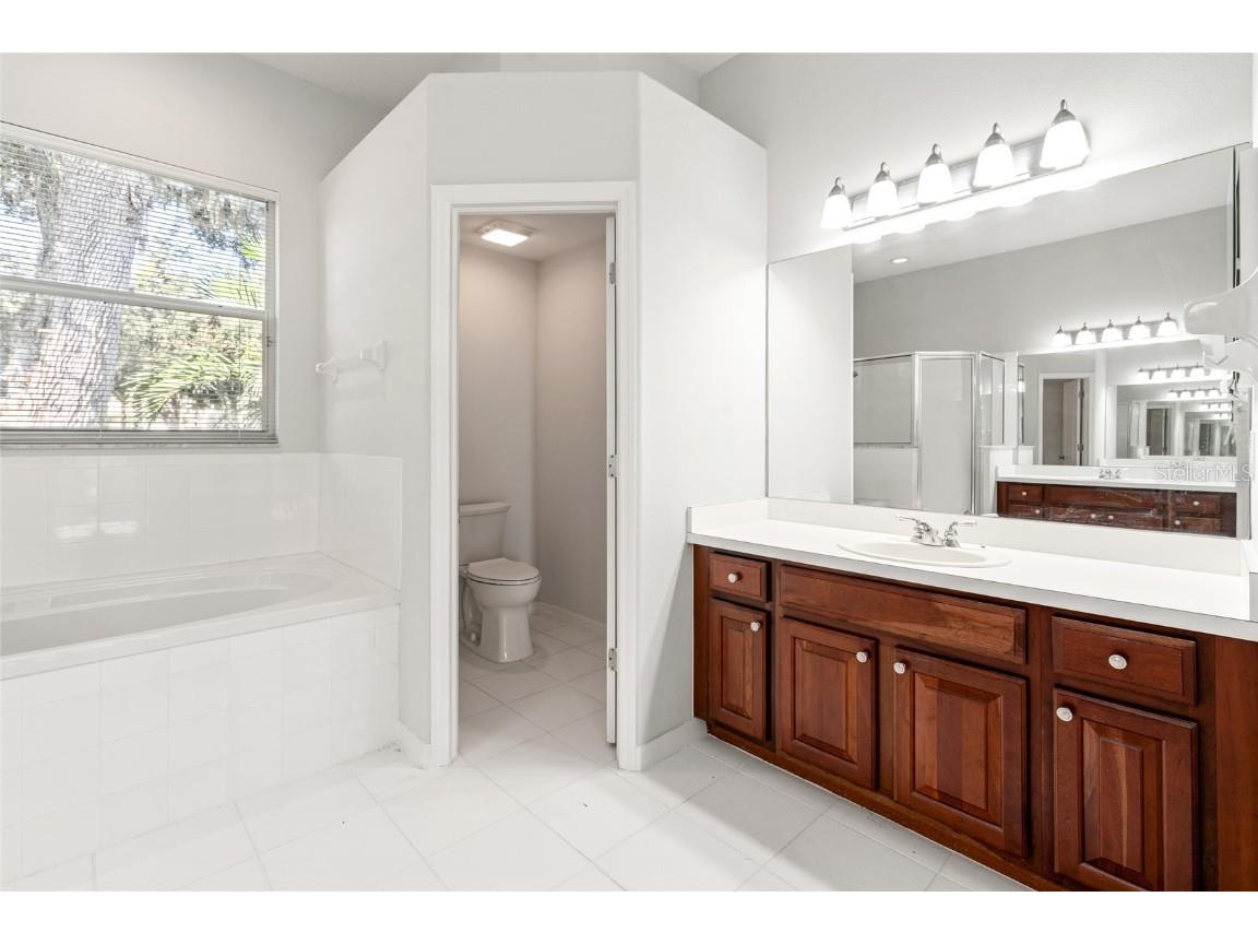 3629 Mossy Oak Circle Land O Lakes FL 34639 TB8431684 image17