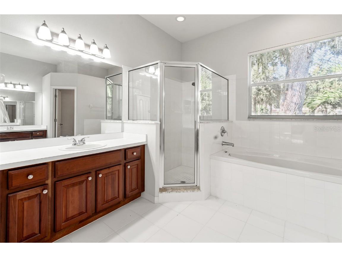 3629 Mossy Oak Circle Land O Lakes FL 34639 TB8431684 image18