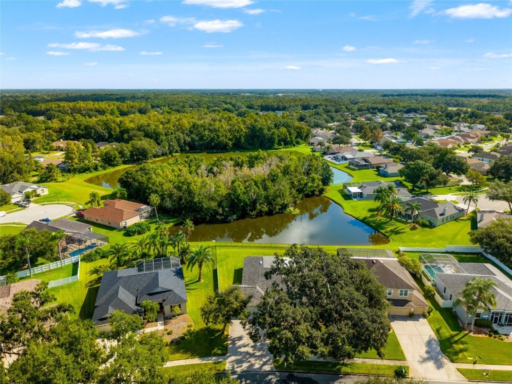 3629 Mossy Oak Circle Land O Lakes FL 34639 TB8431684 image3