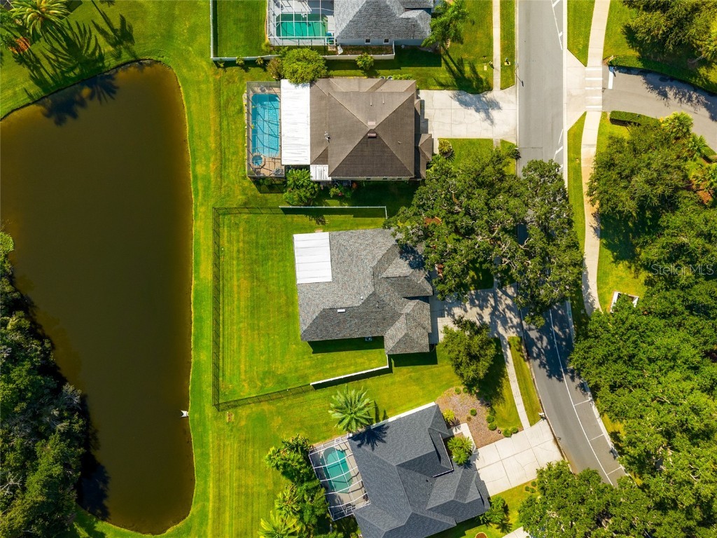 3629 Mossy Oak Circle Land O Lakes FL 34639 TB8431684 image42