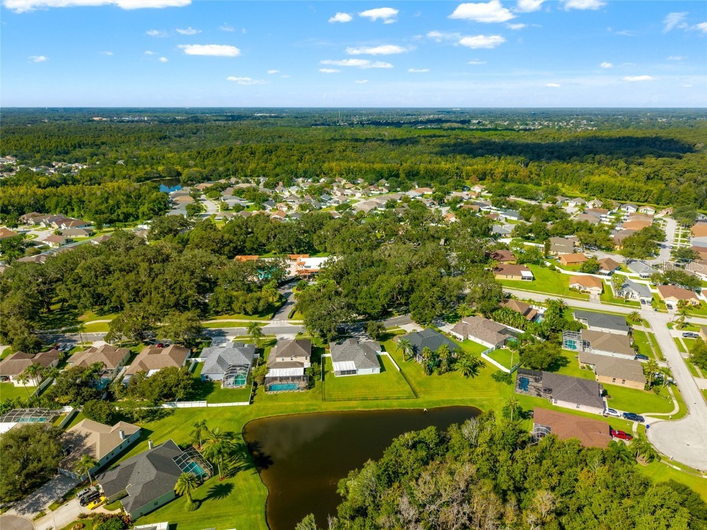 3629 Mossy Oak Circle Land O Lakes FL 34639 TB8431684 image43