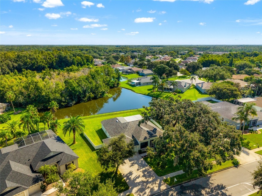 3629 Mossy Oak Circle Land O Lakes FL 34639 TB8431684 image45