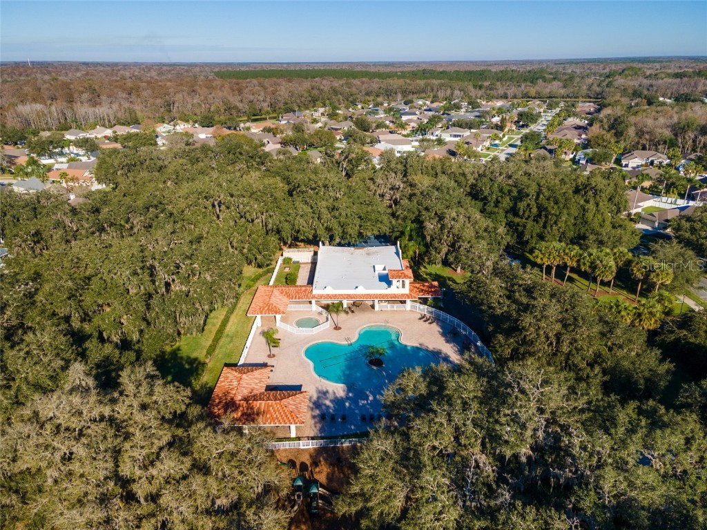 3629 Mossy Oak Circle Land O Lakes FL 34639 TB8431684 image49