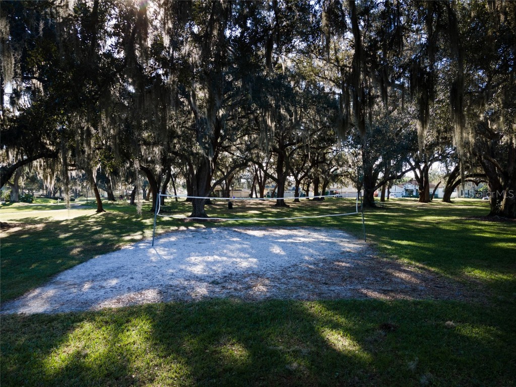 3629 Mossy Oak Circle Land O Lakes FL 34639 TB8431684 image55