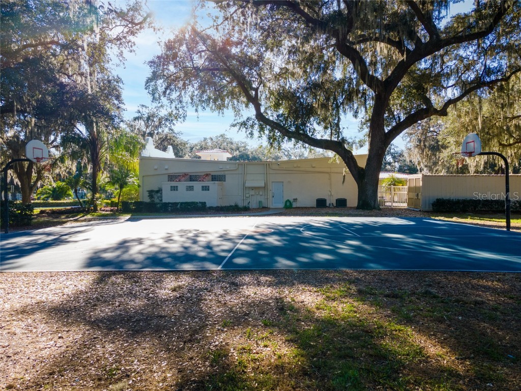 3629 Mossy Oak Circle Land O Lakes FL 34639 TB8431684 image56