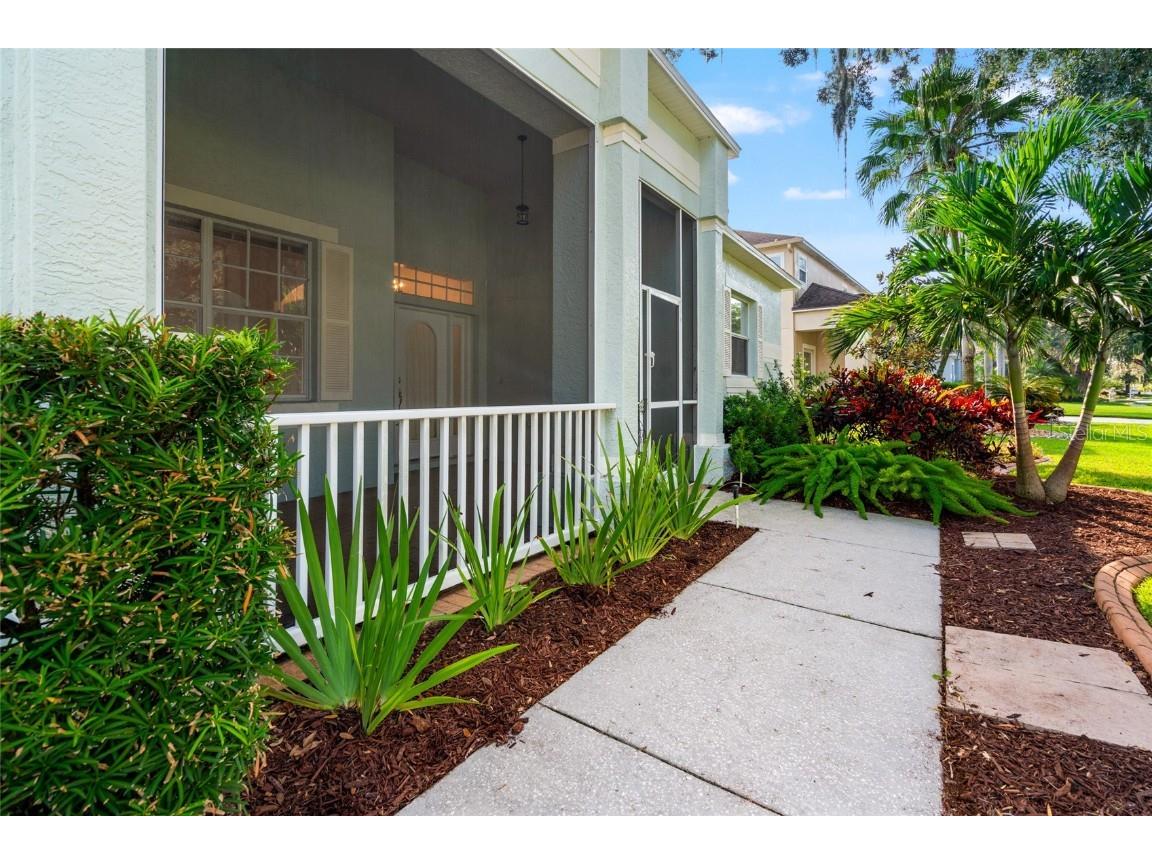 3629 Mossy Oak Circle Land O Lakes FL 34639 TB8431684 image6