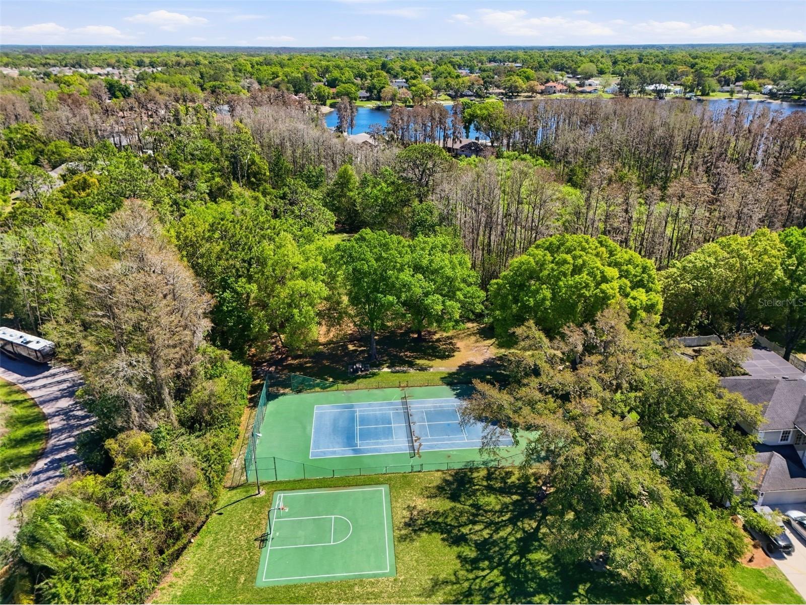 3629 Whistling Lane Land O Lakes FL 34639 - LAKE PADGETT TB8488265 image33