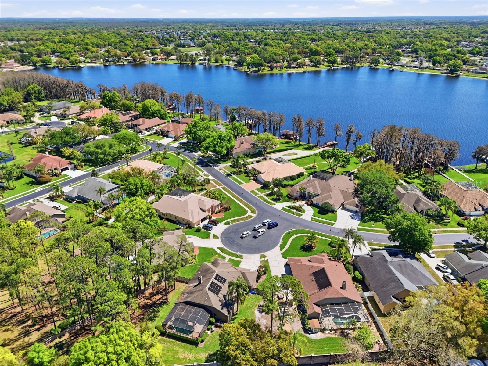 3629 Whistling Lane Land O Lakes FL 34639 - LAKE PADGETT TB8488265 image34