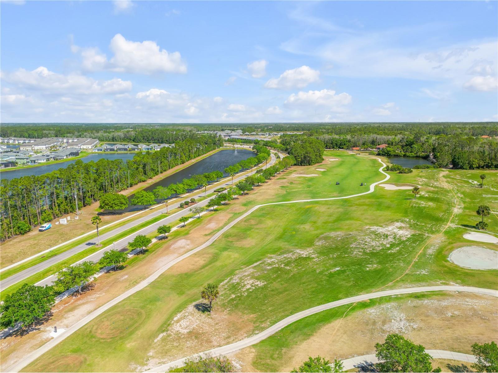 363 Caryota Court New Smyrna Beach FL 32168 V4949261 image52