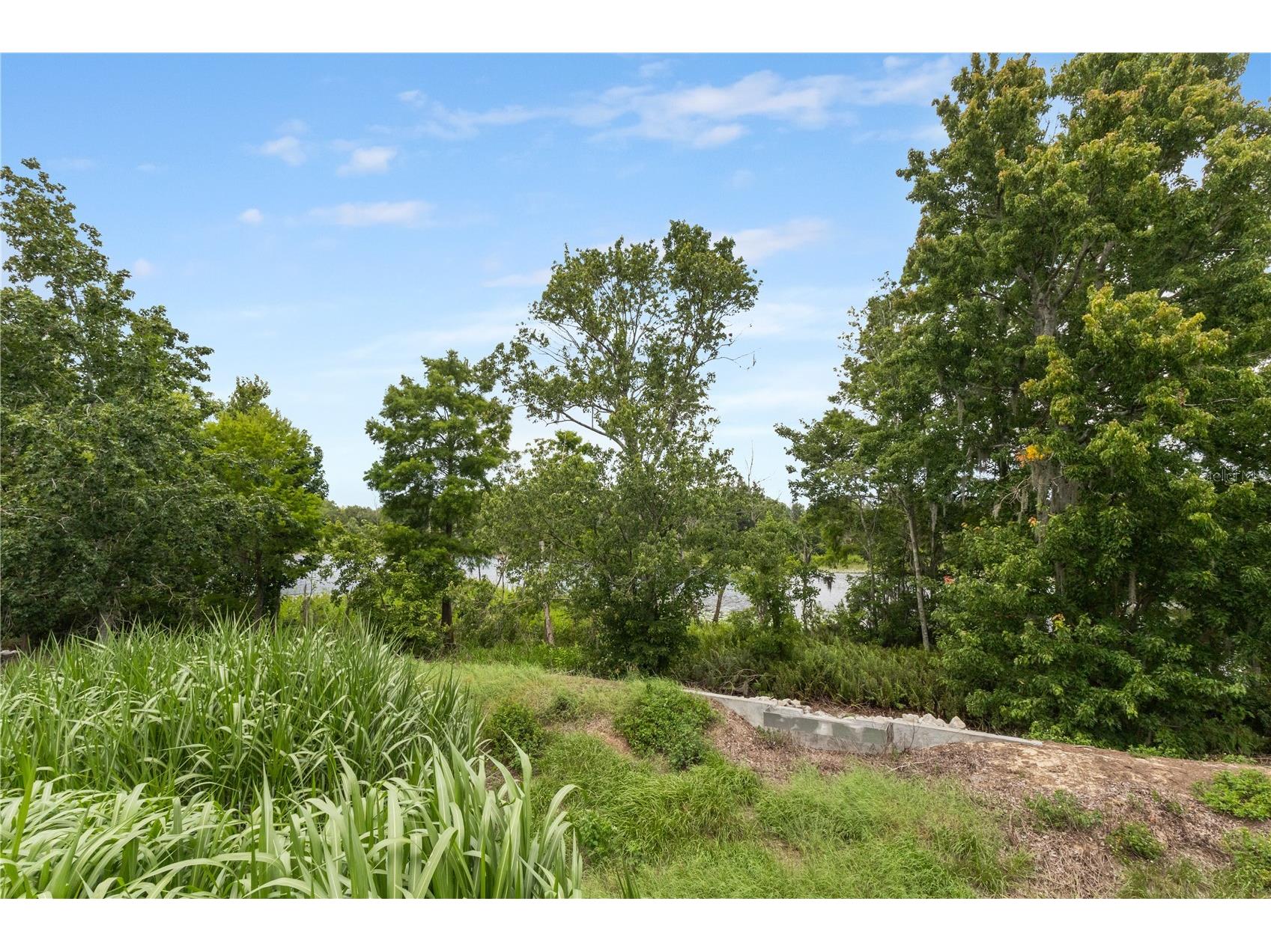 363 Miro Drive Davenport FL 33837 O6408134 image29