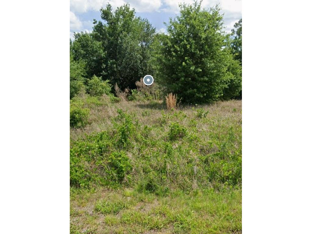 363 Parker Street NE Lake Placid FL 33852 TB8381507 image1