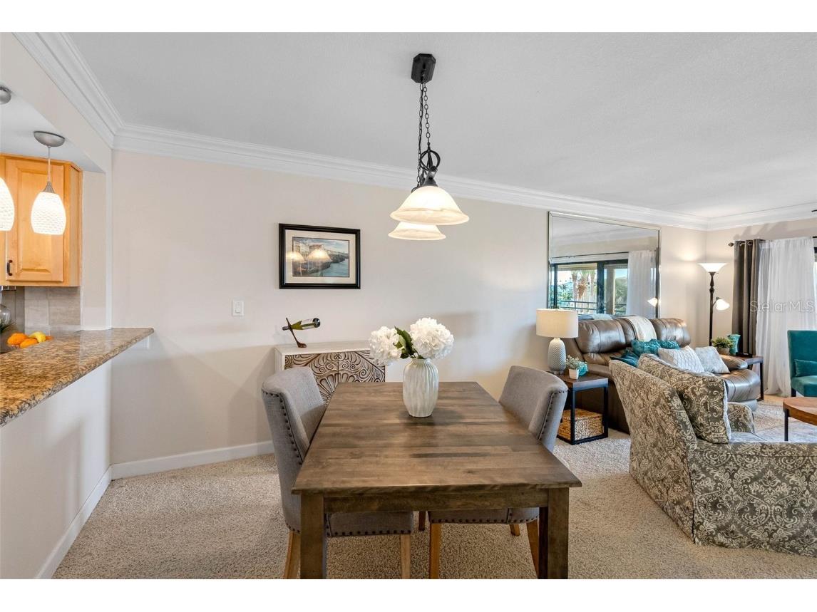 363 Pinellas Bayway S #41 Saint Petersburg FL 33715 - INTRACOASTAL TB8437232 image18