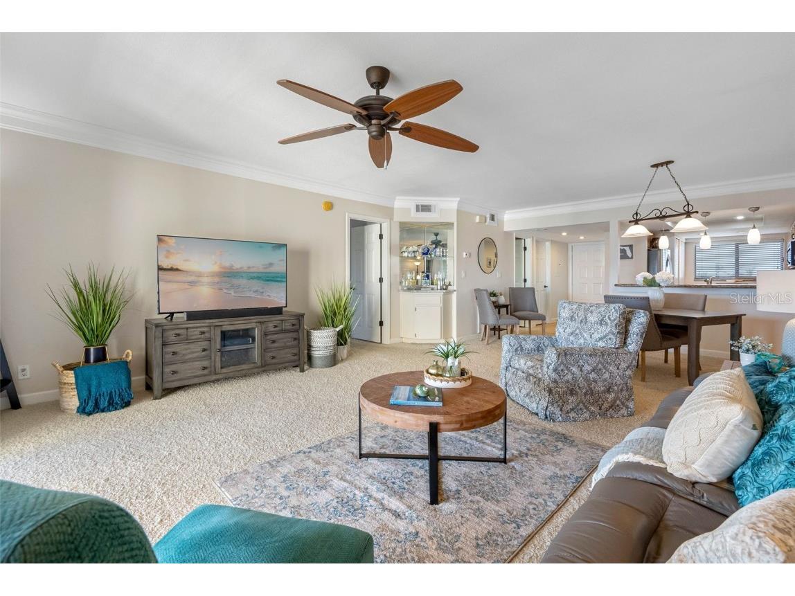 363 Pinellas Bayway S #41 Saint Petersburg FL 33715 - INTRACOASTAL TB8437232 image28