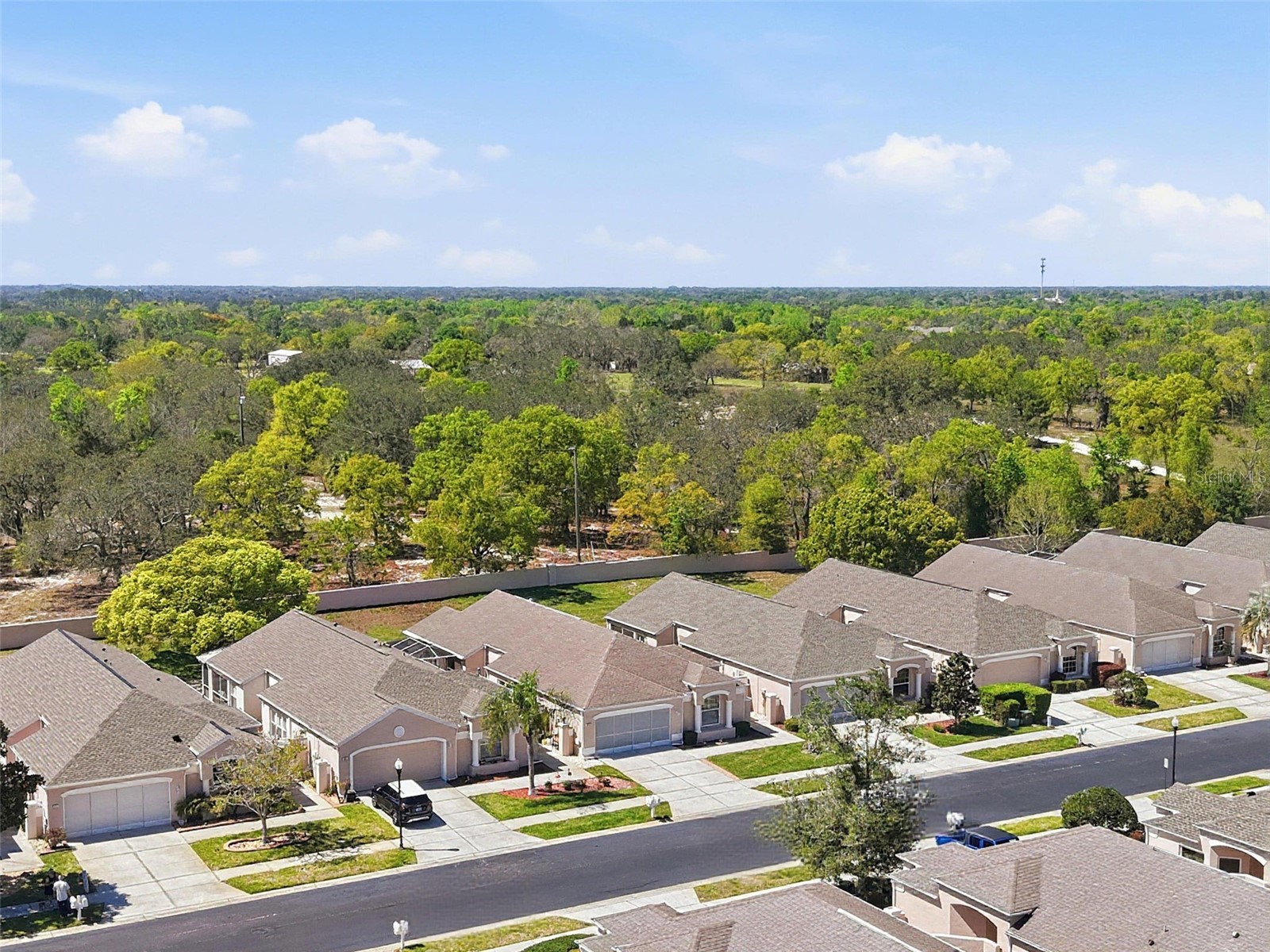 363 Royal Palm Way Spring Hill FL 34608 O6392737 image27