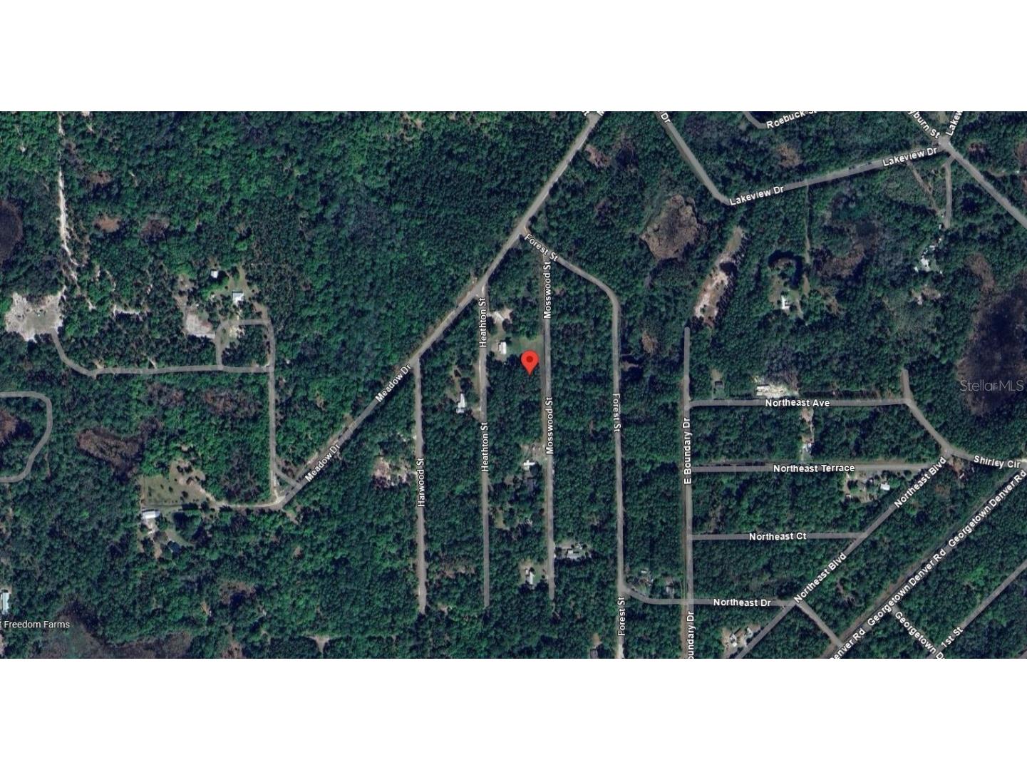 363 S Carolina Street Hawthorne FL 32640 OK225489 image6