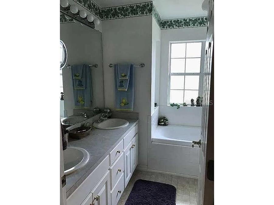 363 SW Monroe Avenue Mayo FL 32066 A4687184 image10