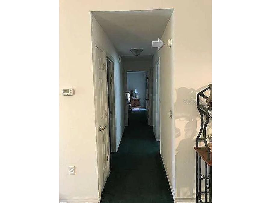 363 SW Monroe Avenue Mayo FL 32066 A4687184 image11