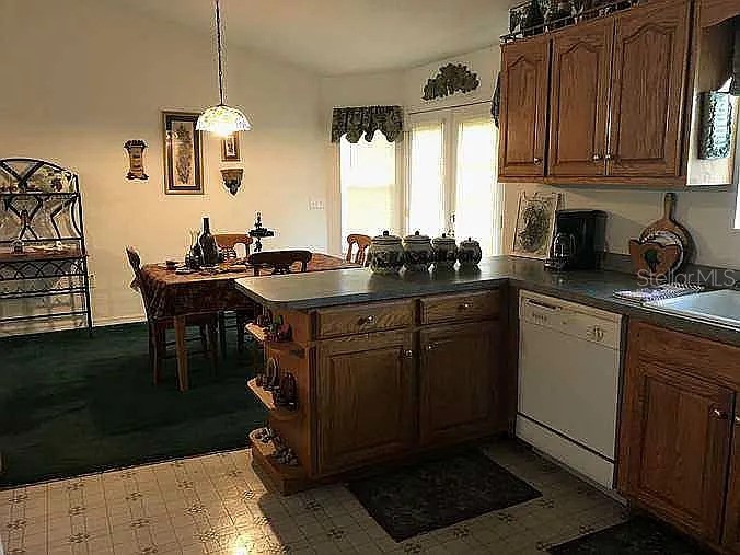 363 SW Monroe Avenue Mayo FL 32066 A4687184 image5