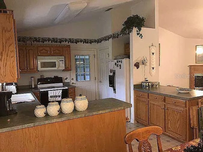 363 SW Monroe Avenue Mayo FL 32066 A4687184 image8