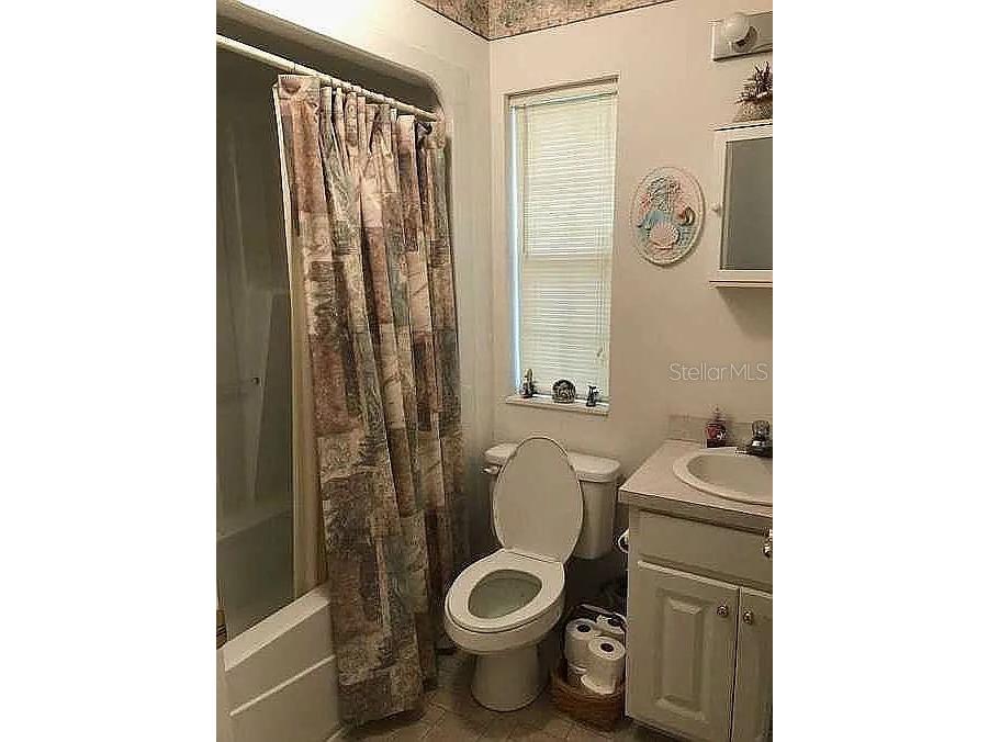 363 SW Monroe Avenue Mayo FL 32066 A4687184 image9