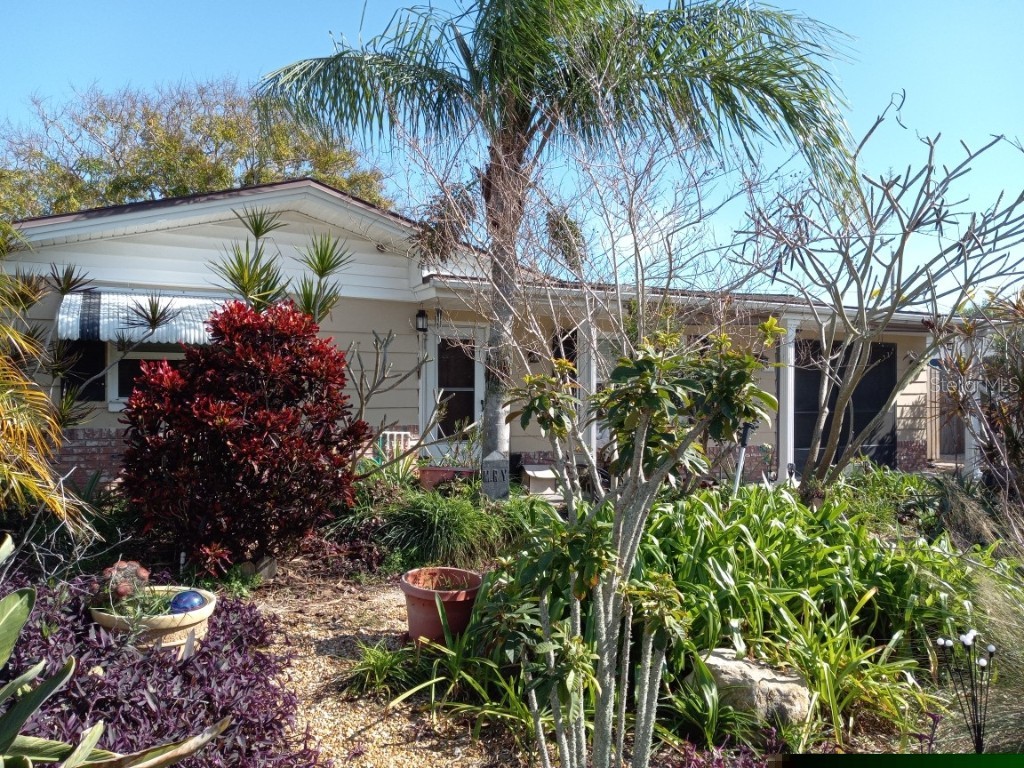 3630 Bradford Drive Holiday FL 34691 U8227883 image1