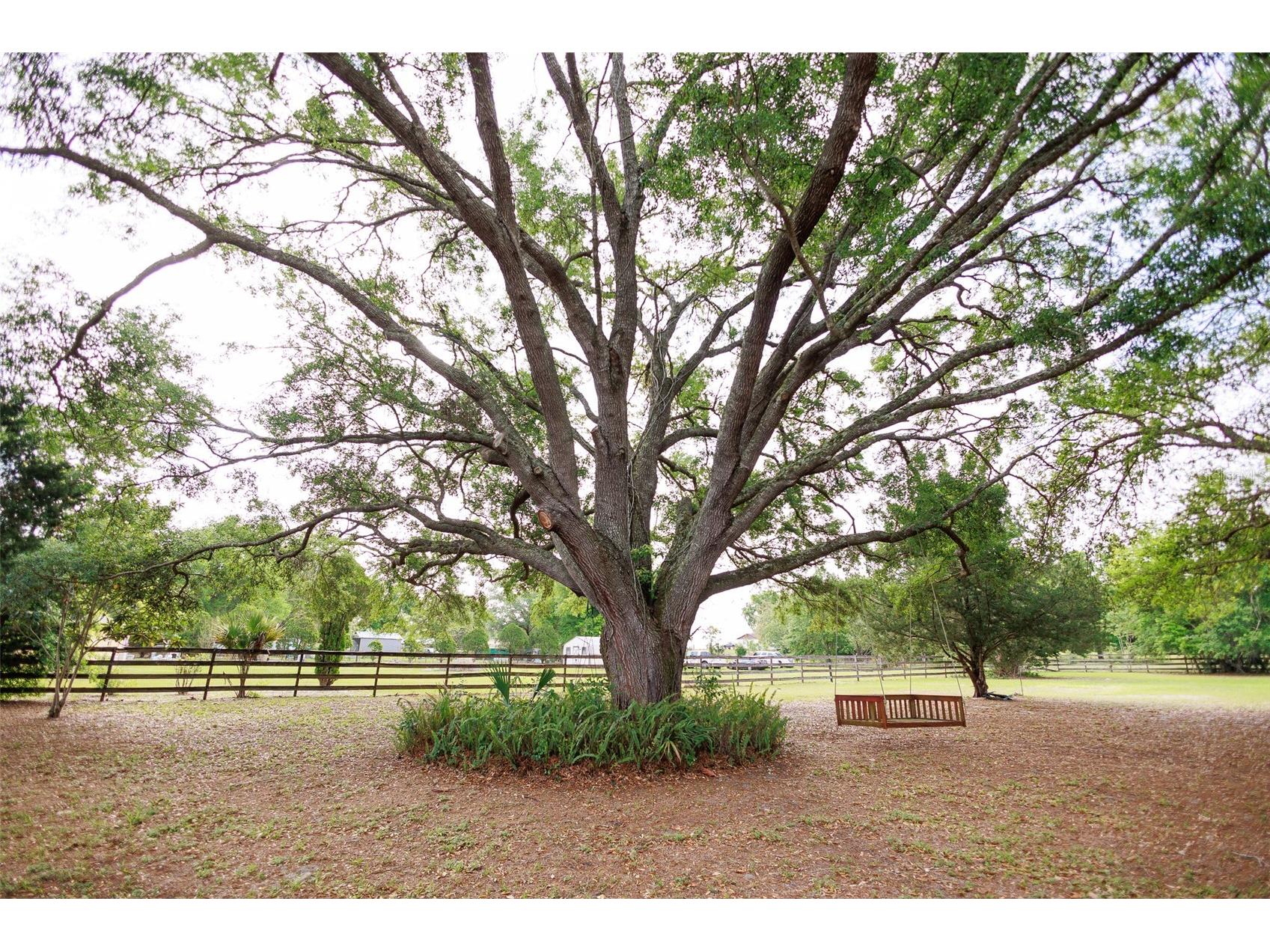 3630 Eagles Nest Road Fruitland Park FL 34731 G5110380 image48