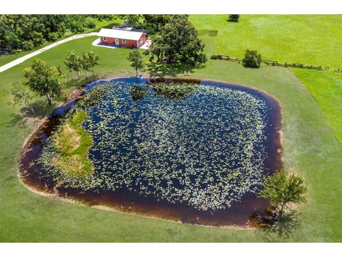 3630 Verna Road Myakka City FL 34251 A4654501 image37