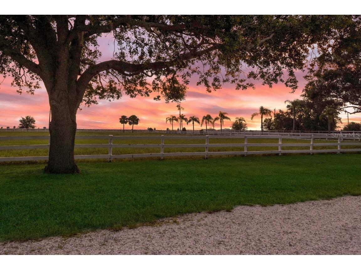 3630 Verna Road Myakka City FL 34251 A4654501 image95