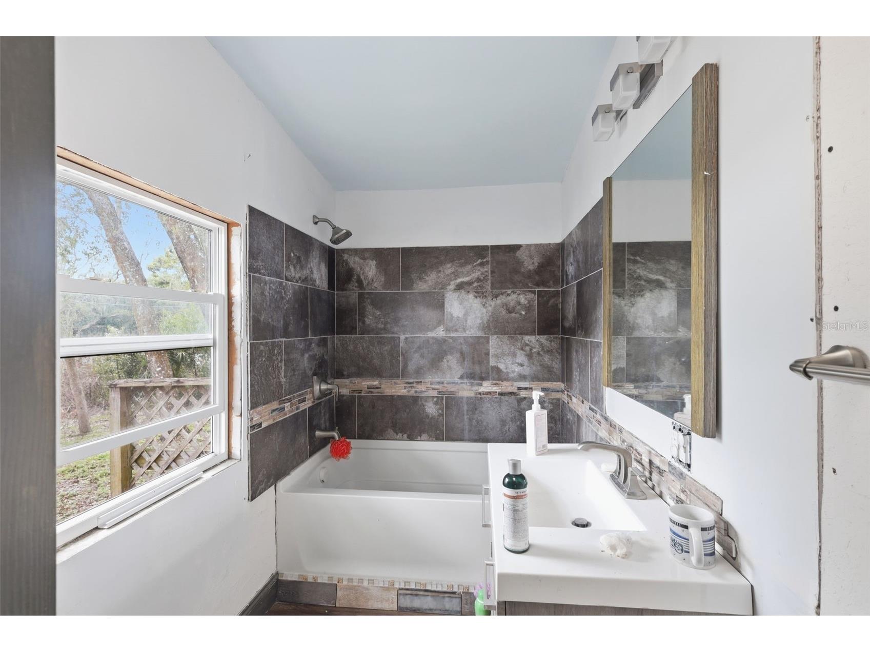 36301 Peak Street Zephyrhills FL 33541 O6386944 image5