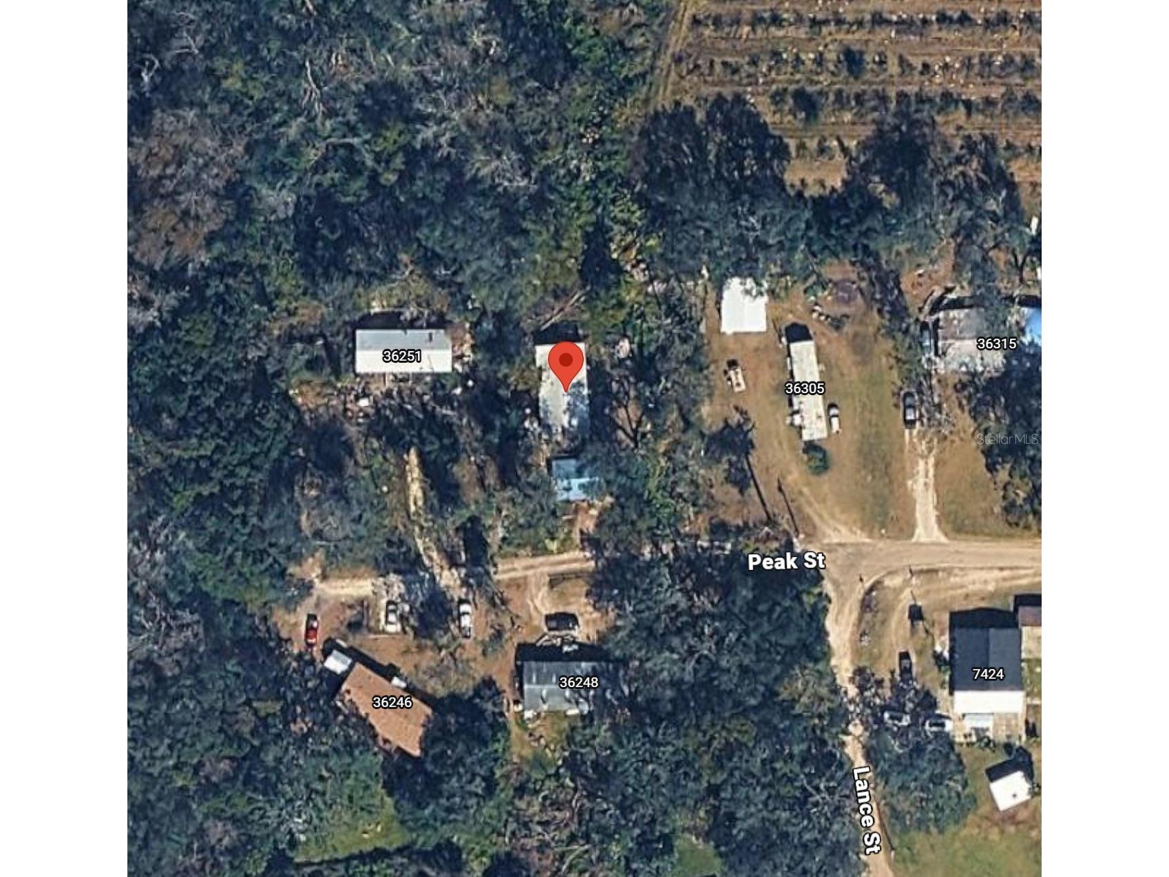 36301 Peak Street Zephyrhills FL 33541 O6425100 image3