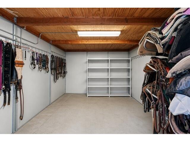 36304 Tomkow Lane Dade City FL 33523 TB8531072 image39