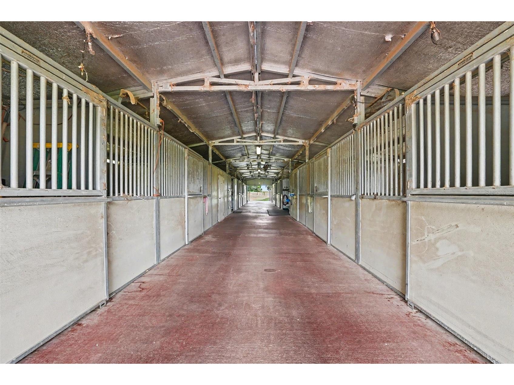 36304 Tomkow Lane Dade City FL 33523 TB8531072 image43