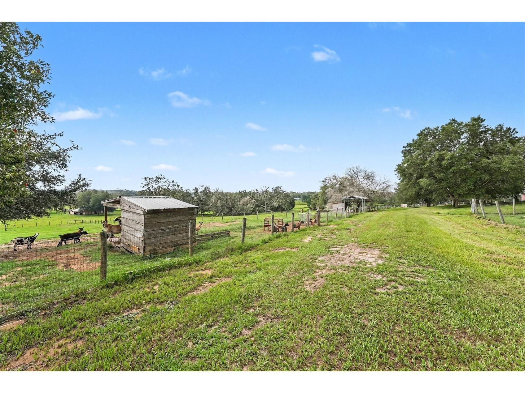 36304 Tomkow Lane Dade City FL 33523 TB8531072 image50