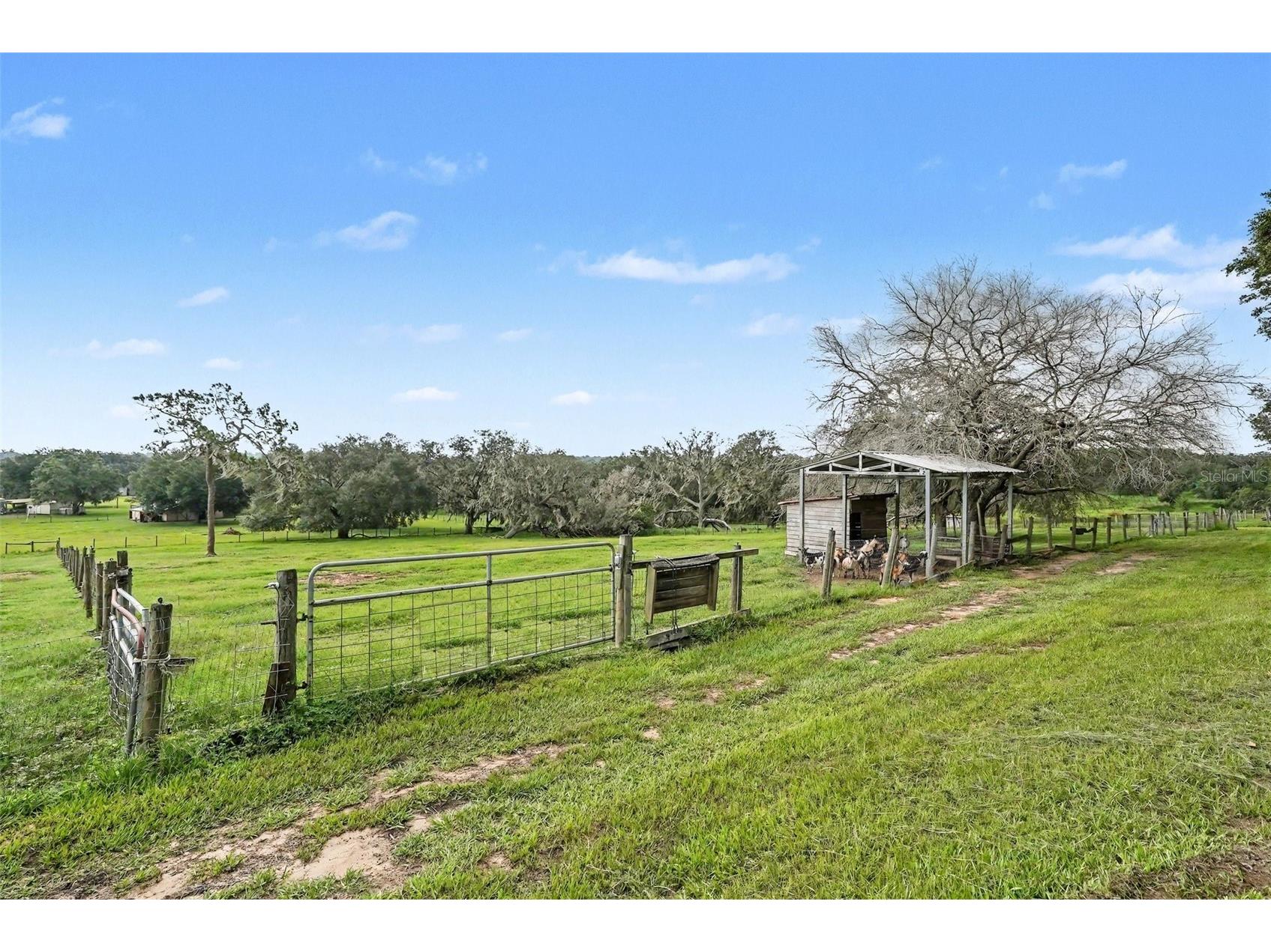 36304 Tomkow Lane Dade City FL 33523 TB8531072 image51