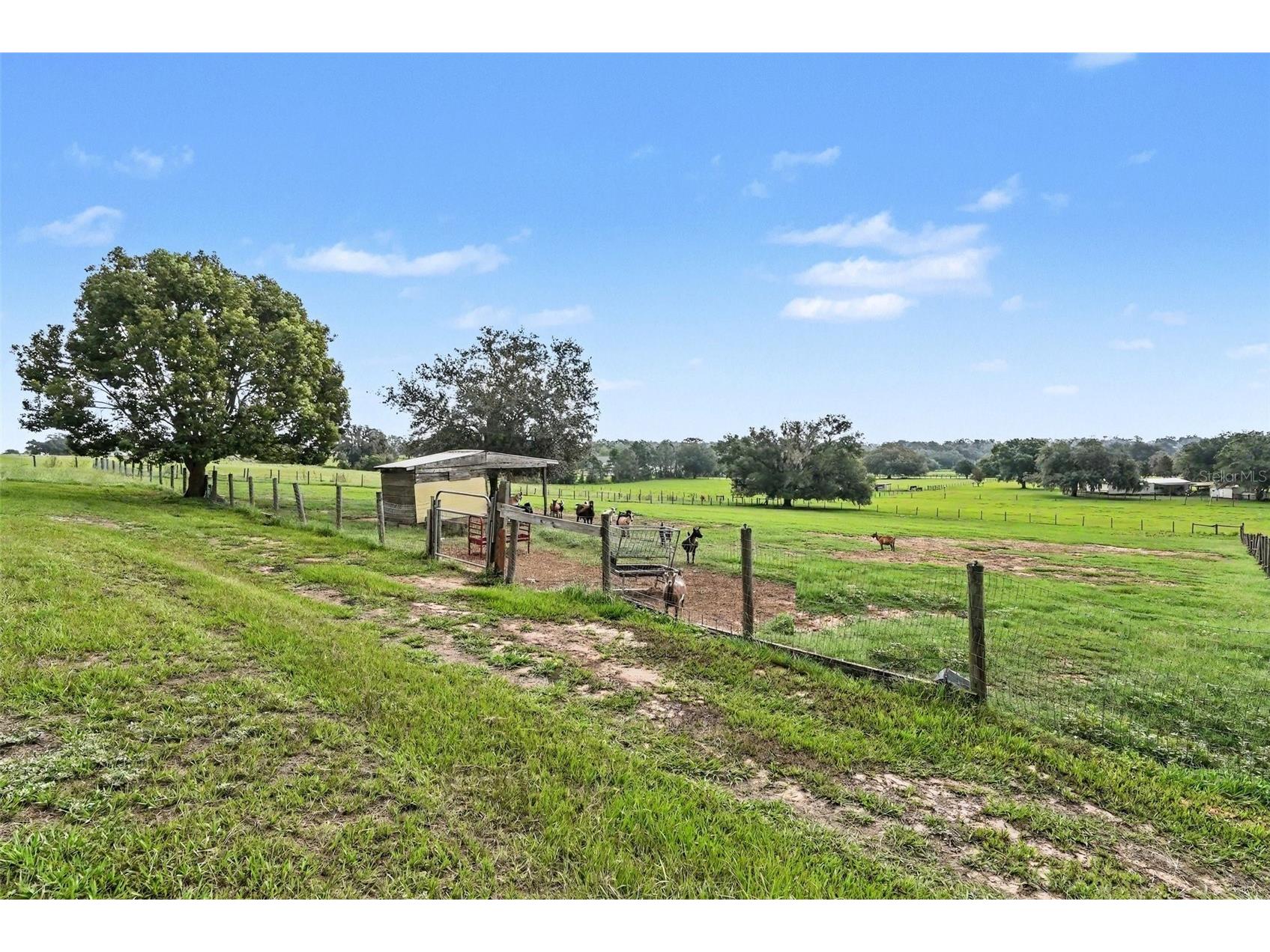 36304 Tomkow Lane Dade City FL 33523 TB8531072 image52