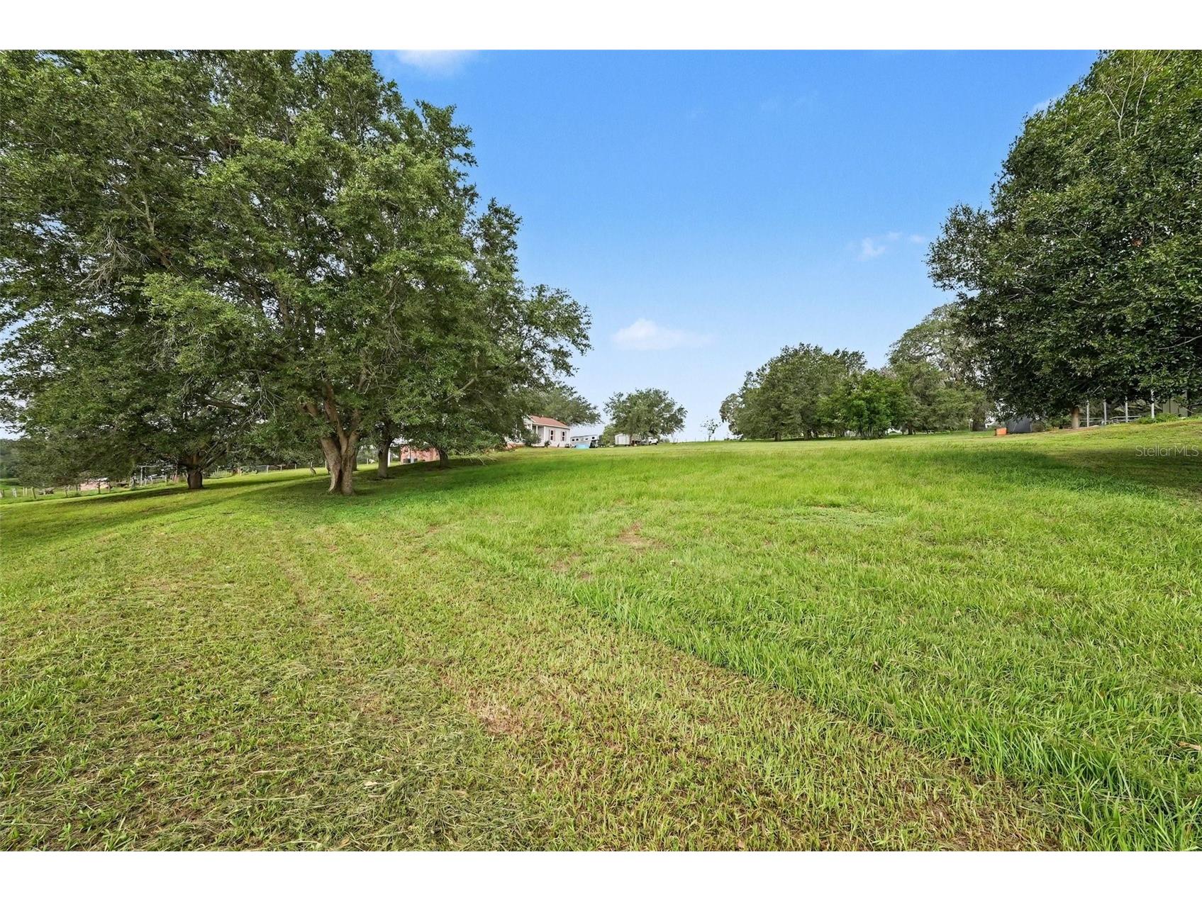 36304 Tomkow Lane Dade City FL 33523 TB8531072 image53