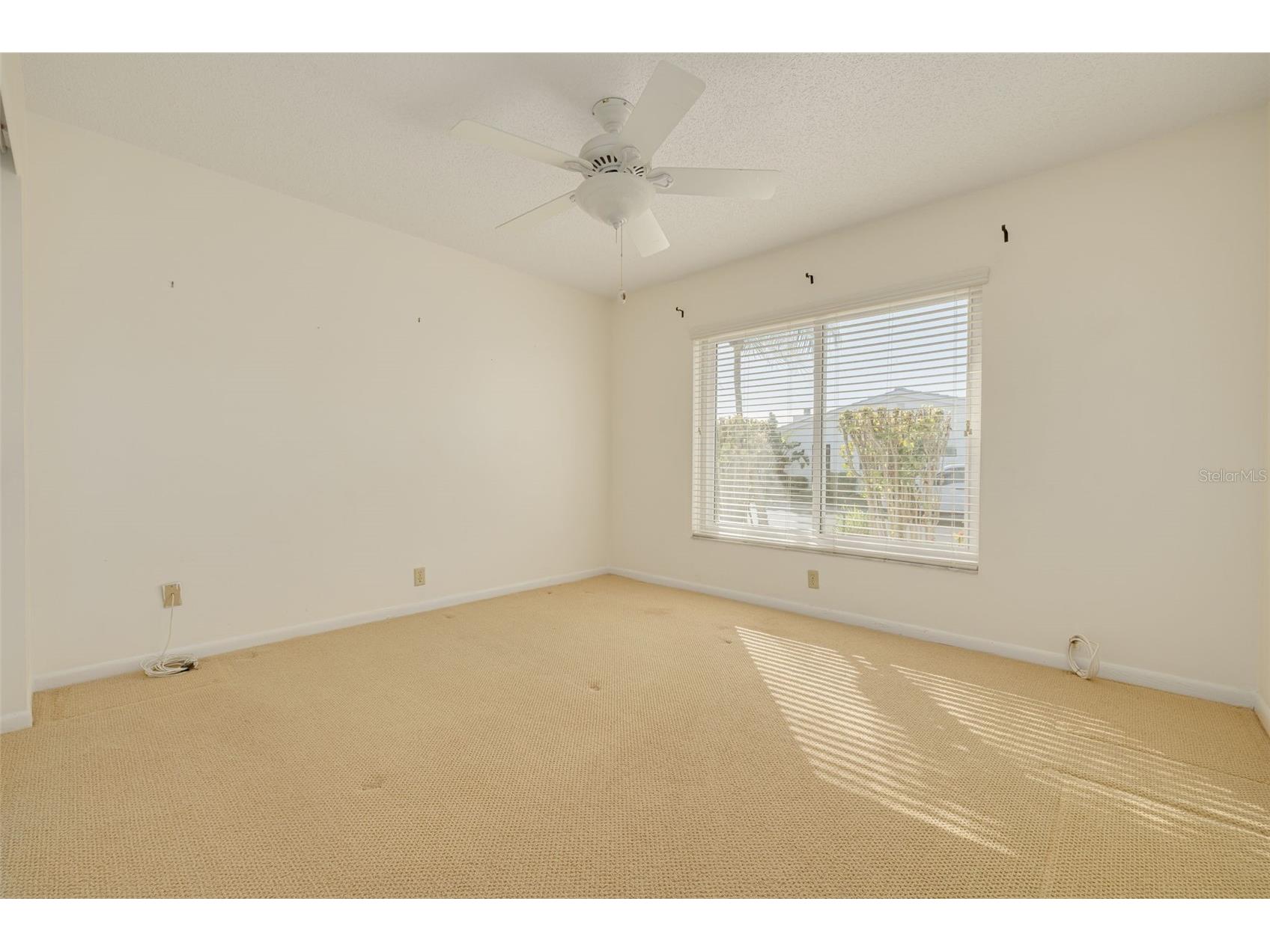 3631 93rd Avenue N Pinellas Park FL 33782 TB8488570 image30