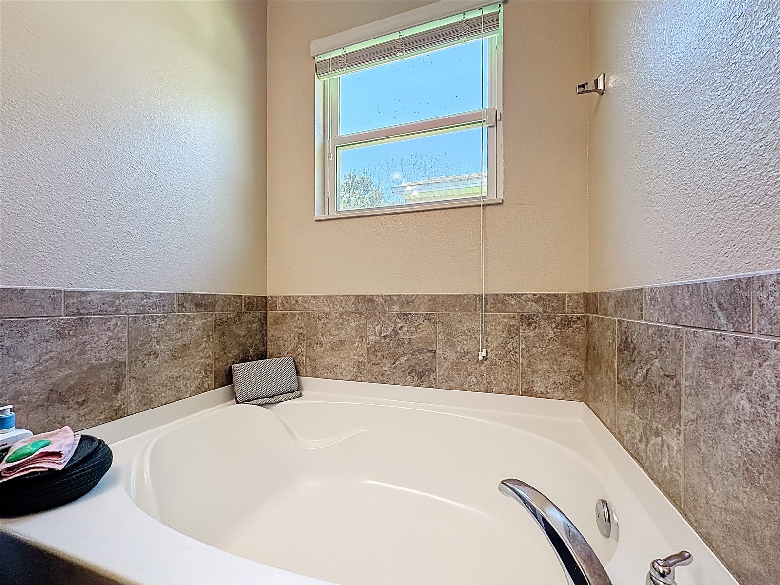 3631 Black Dog Court Tavares FL 32778 G5111311 image37