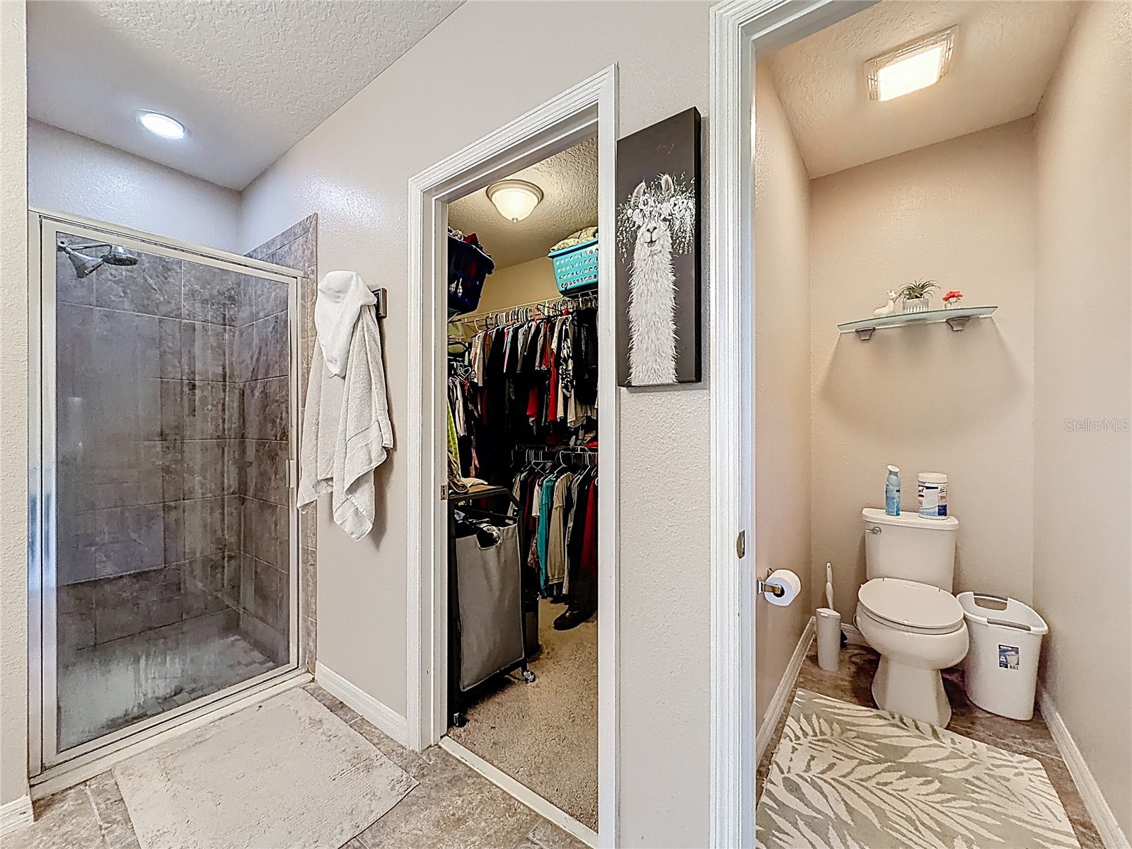 3631 Black Dog Court Tavares FL 32778 G5111311 image39
