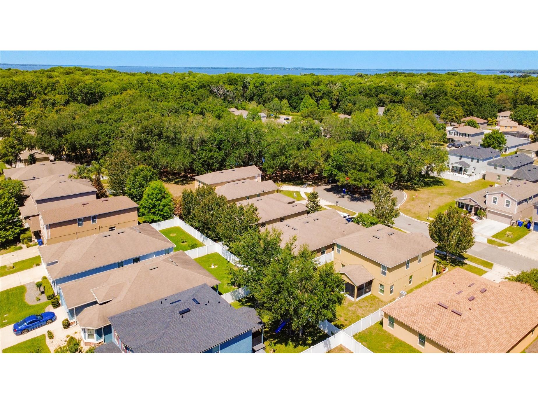 3631 Black Dog Court Tavares FL 32778 G5111311 image47