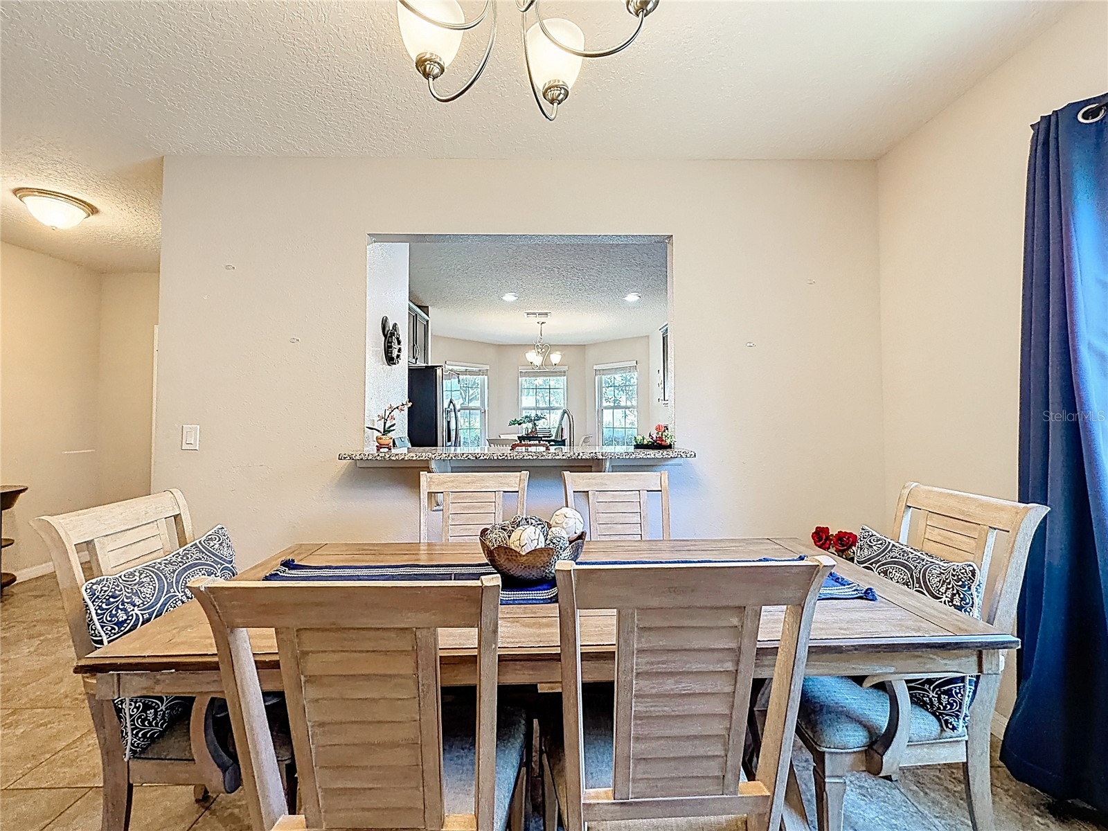 3631 Black Dog Court Tavares FL 32778 G5111311 image9