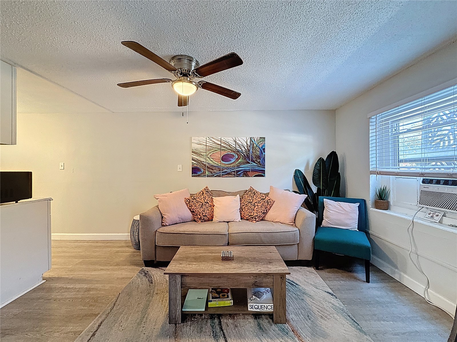 3631 Park Street N Saint Petersburg FL 33710 TB8462937 image45