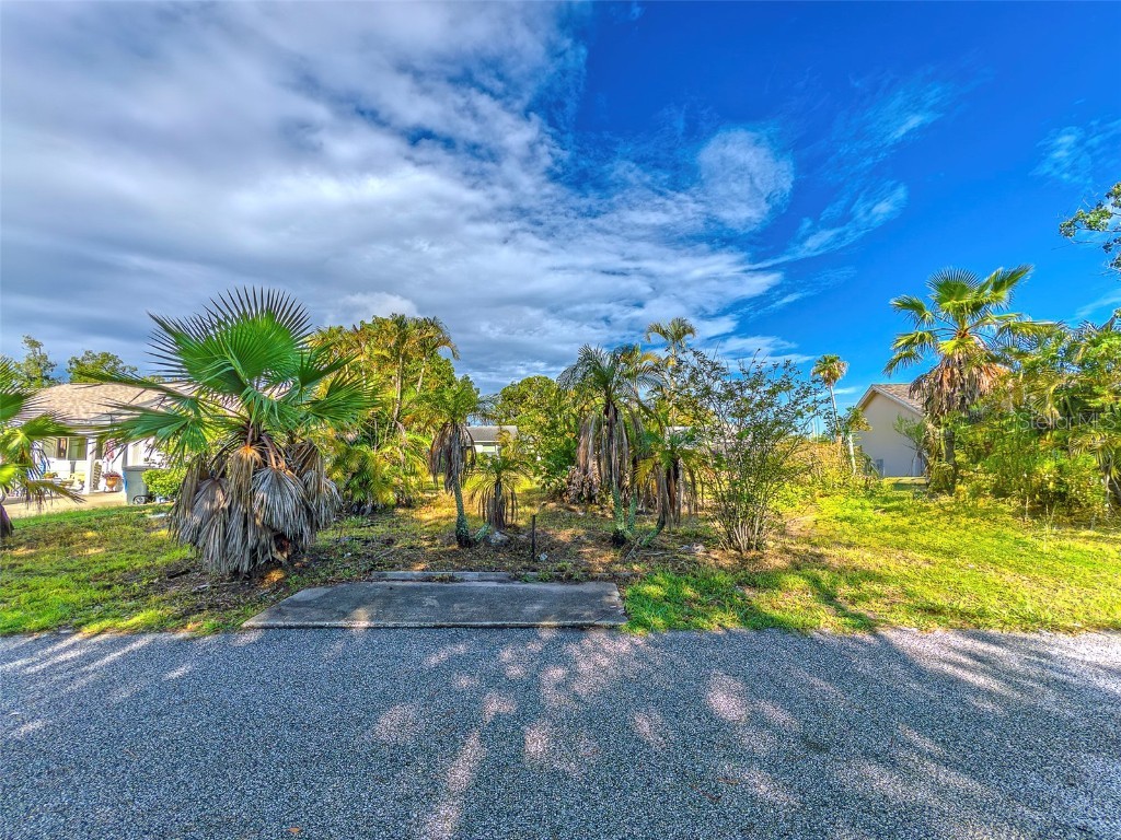 3631 Rockaway Drive Holiday FL 34691 TB8408932 image11