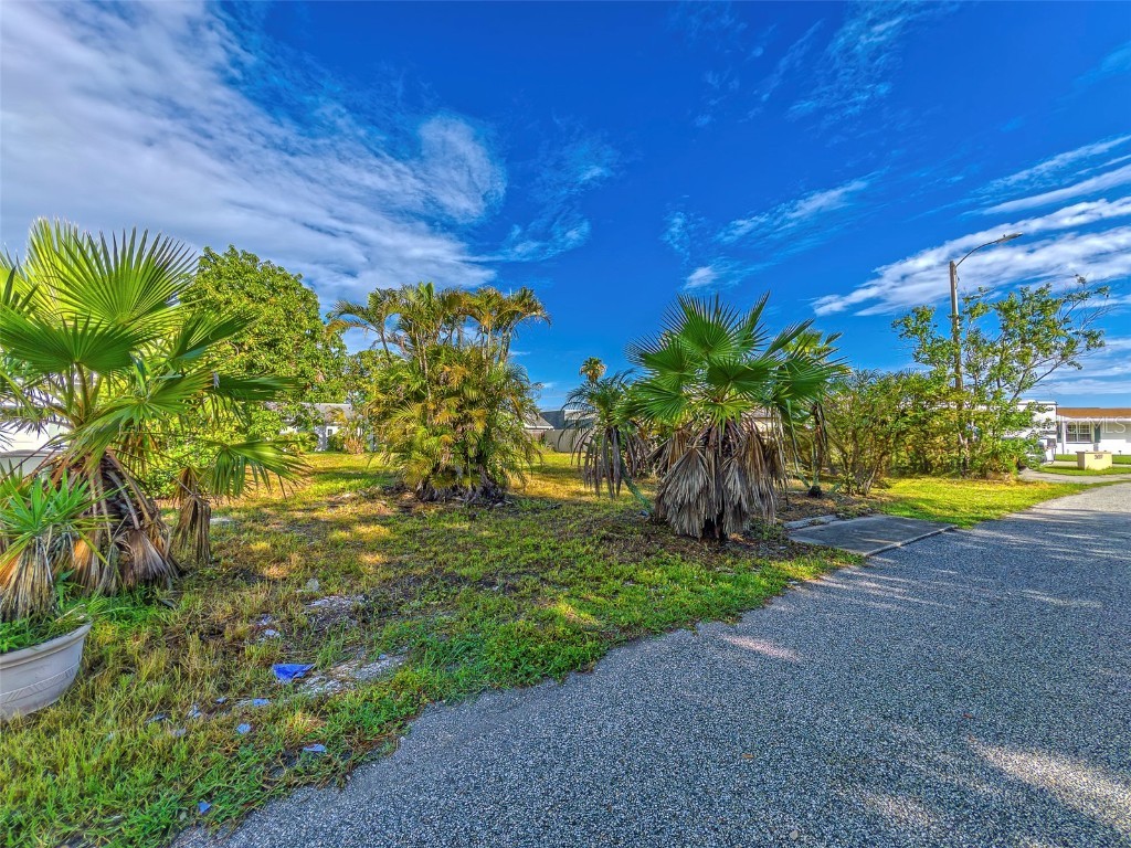 3631 Rockaway Drive Holiday FL 34691 TB8408932 image12
