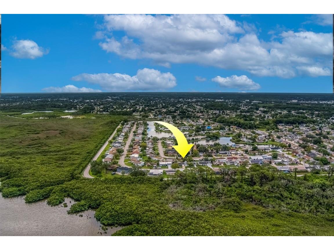 3631 Rockaway Drive Holiday FL 34691 TB8408932 image13