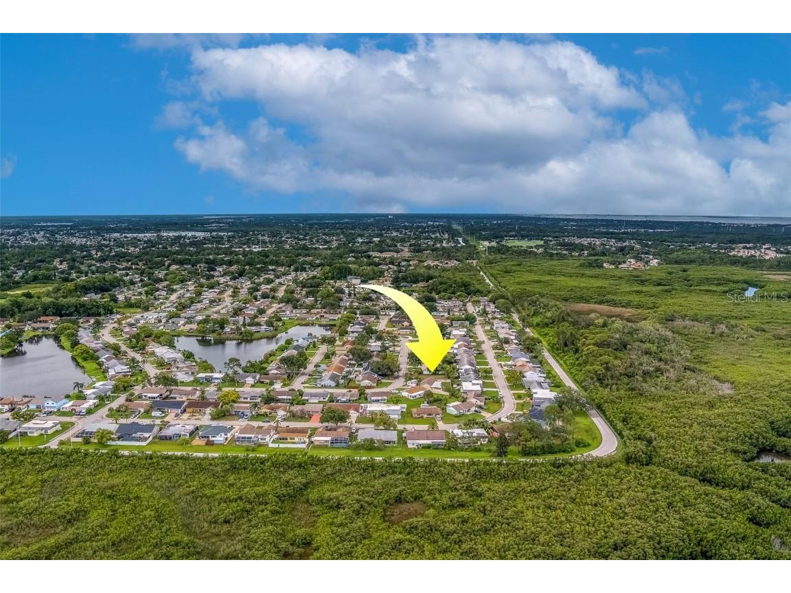 3631 Rockaway Drive Holiday FL 34691 TB8408932 image14